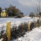 Frostiger Tag vor der Haustür