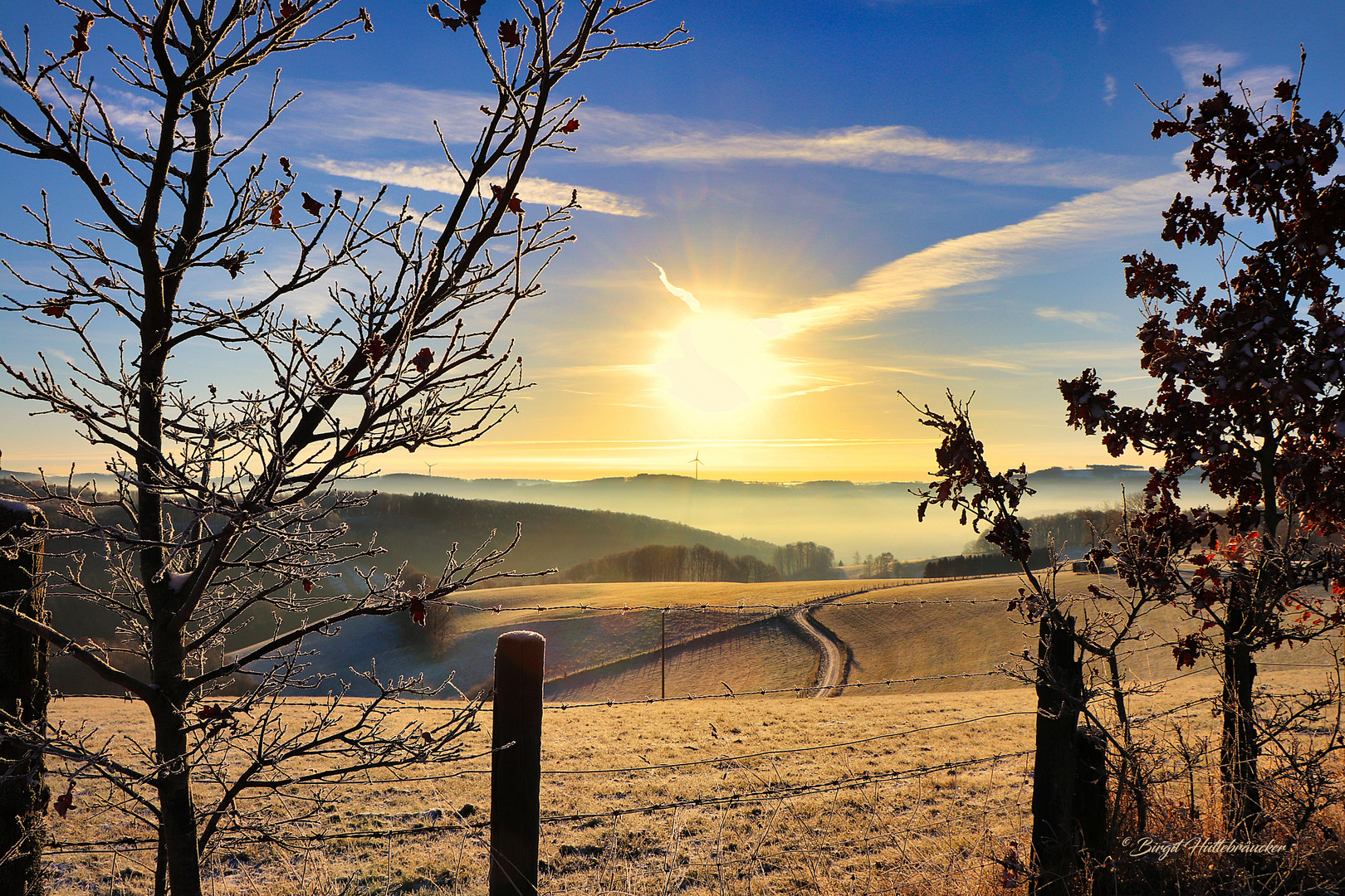 Frostiger Tagesbeginn Foto &amp; Bild | deutschland, europe, nordrhein ...
