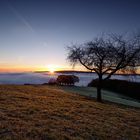 Frostiger und nebliger Eifelmorgen über dem Rursee