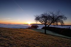 Frostiger und nebliger Eifelmorgen über dem Rursee