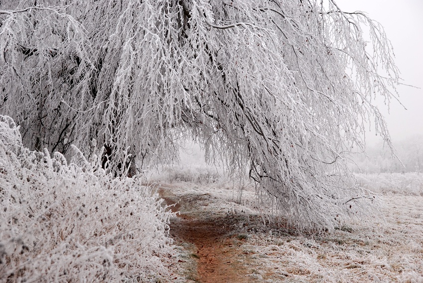 Frostiger Weg