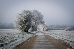 Frostiger Weg
