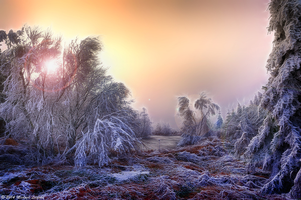 frostiger Weiher Foto &amp; Bild | jahreszeiten, winter, traumhaftes Bilder ...