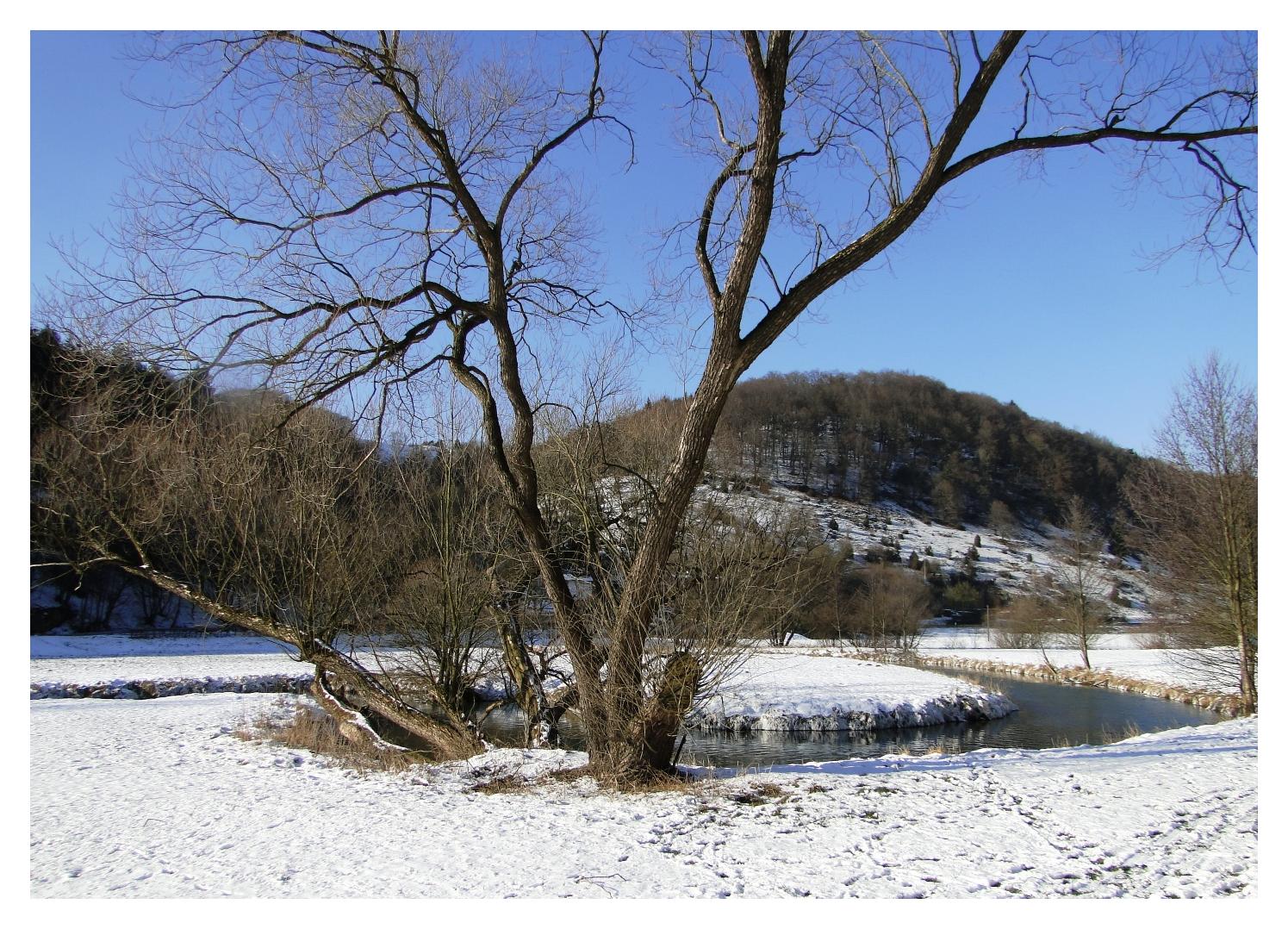 frostiger Winter an der Gailach