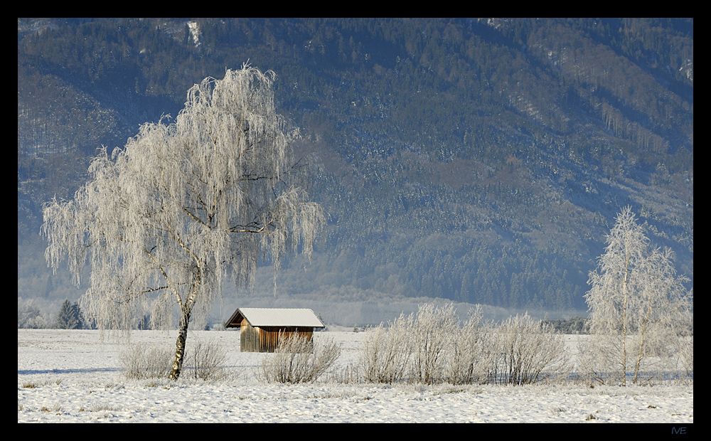 Frostiger Winter