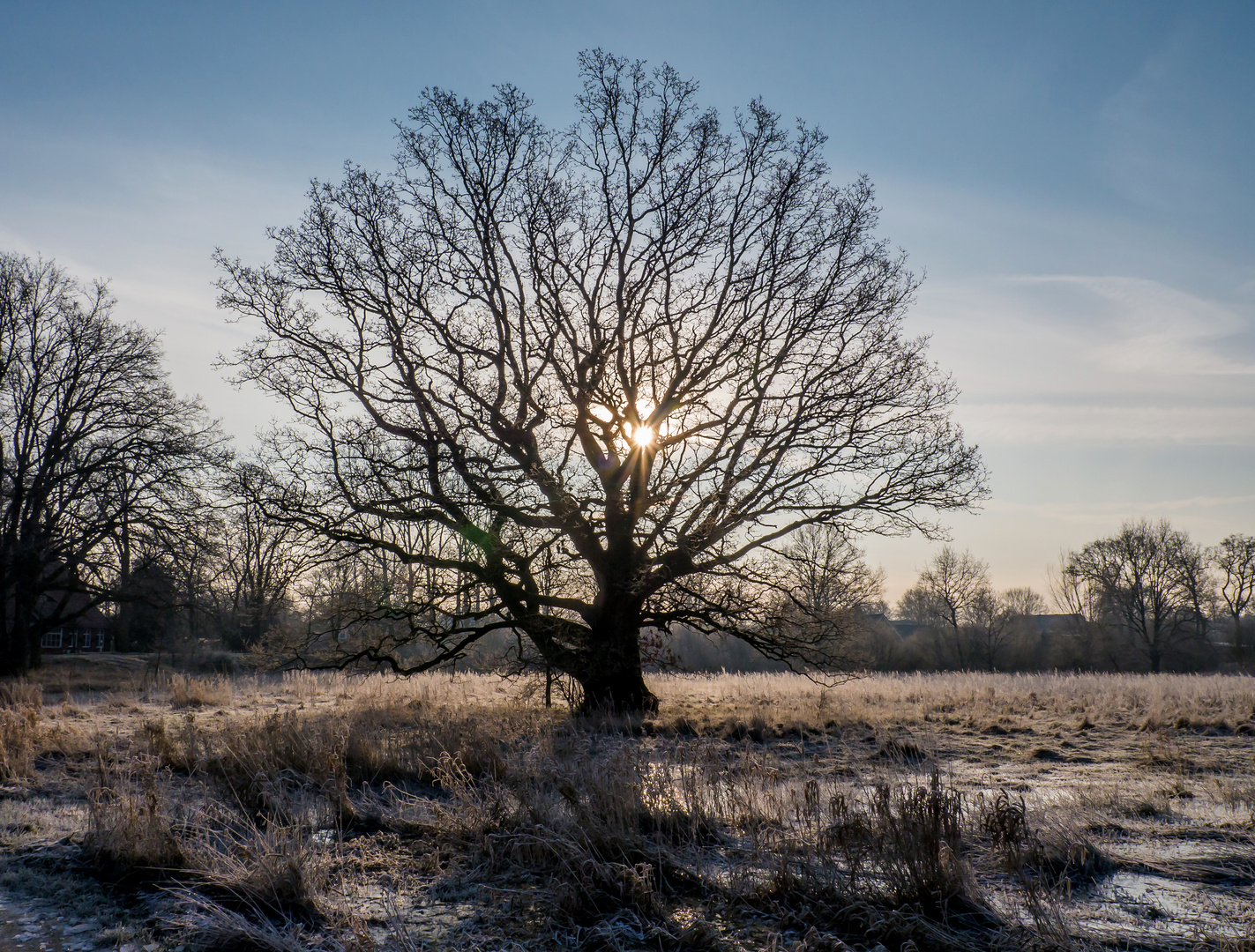 Frostiger Wintermorgen