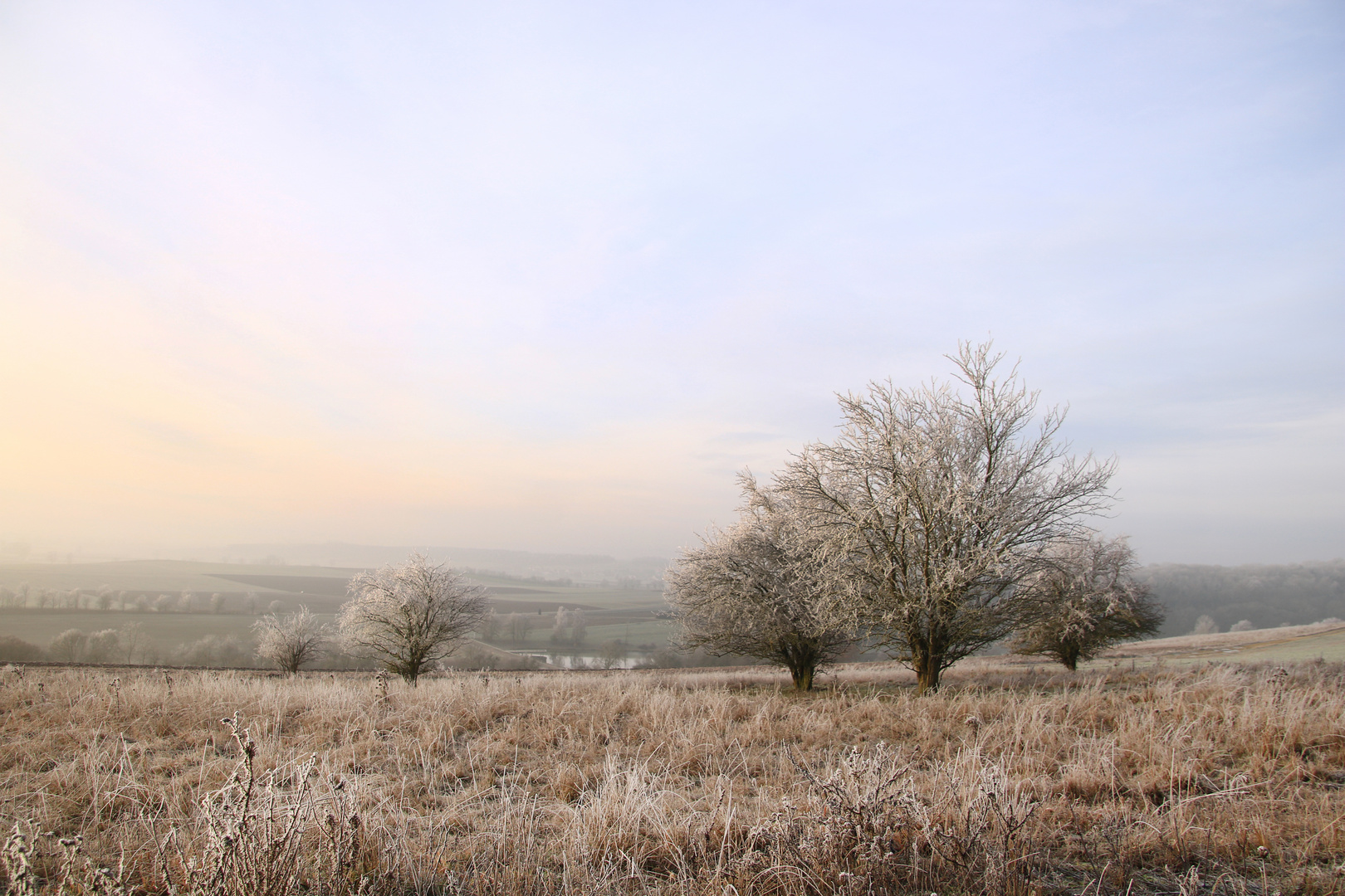 Frostiger Wintermorgen