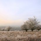 Frostiger Wintermorgen