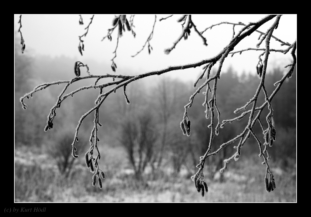 Frostiger Wintermorgen.