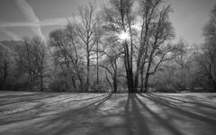 Frostiger Wintermorgen