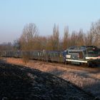 Frostiger Wintermorgen im Elsass