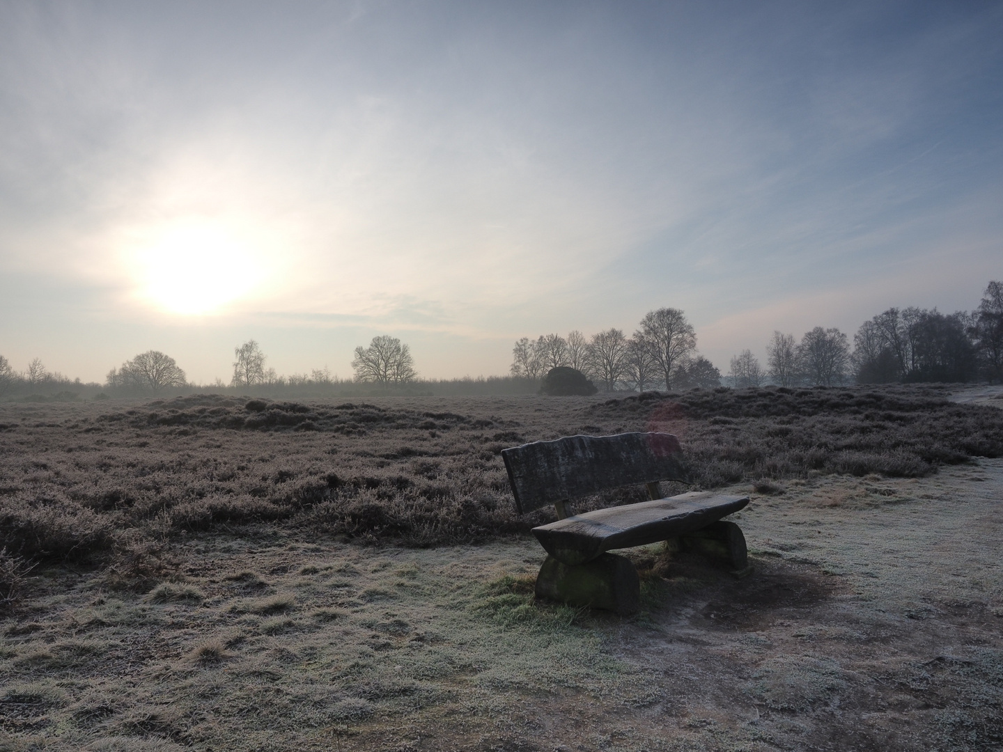 Frostiger Wintermorgen in der Wildeshauser Geest