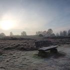 Frostiger Wintermorgen in der Wildeshauser Geest