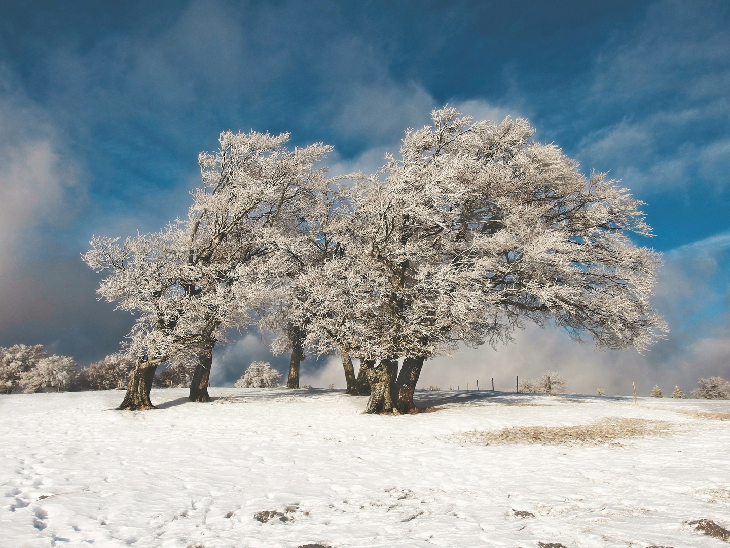 frostiger Wintertag