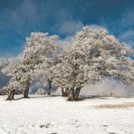 frostiger Wintertag