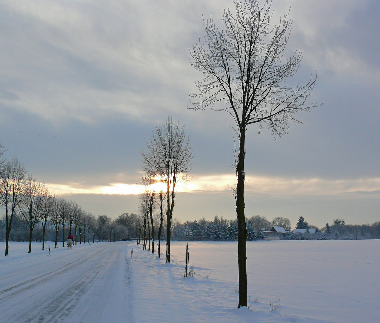 Frostiger Wintertag