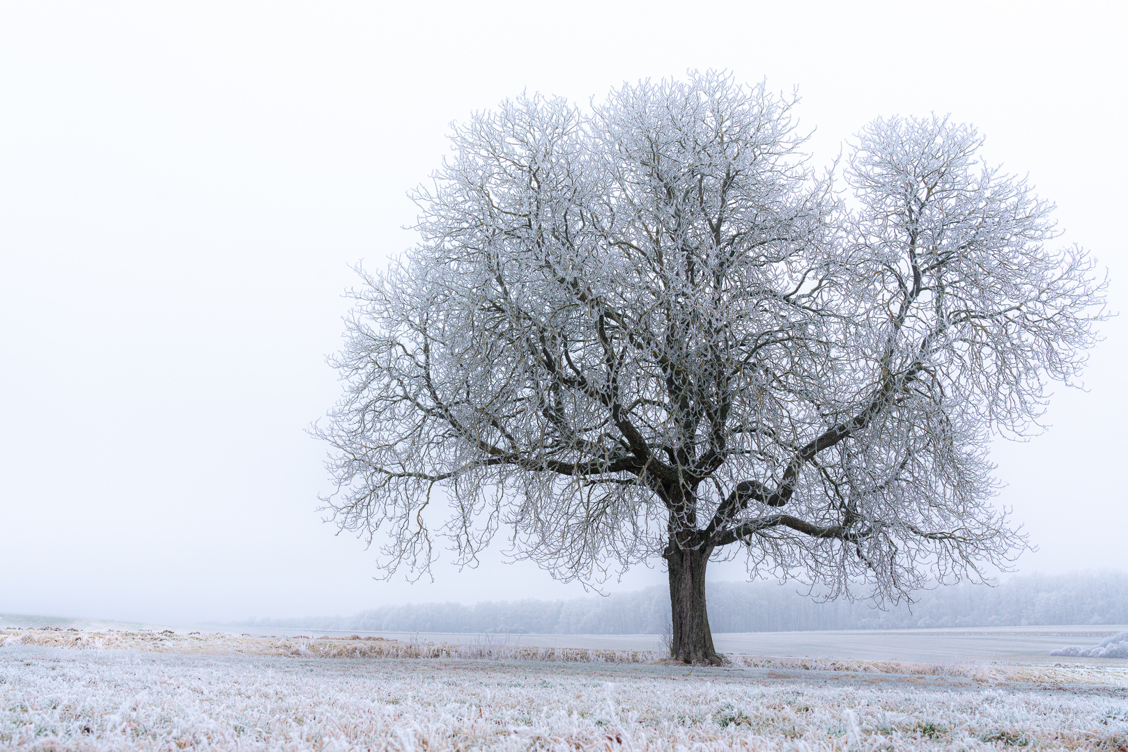 Frostiger Wintertag