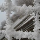 Frostiger Zaun