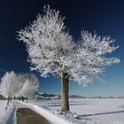 ~ Frostiges Allgäu ~