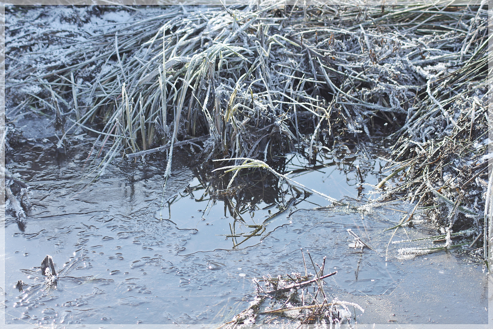 FROSTiges am Bach