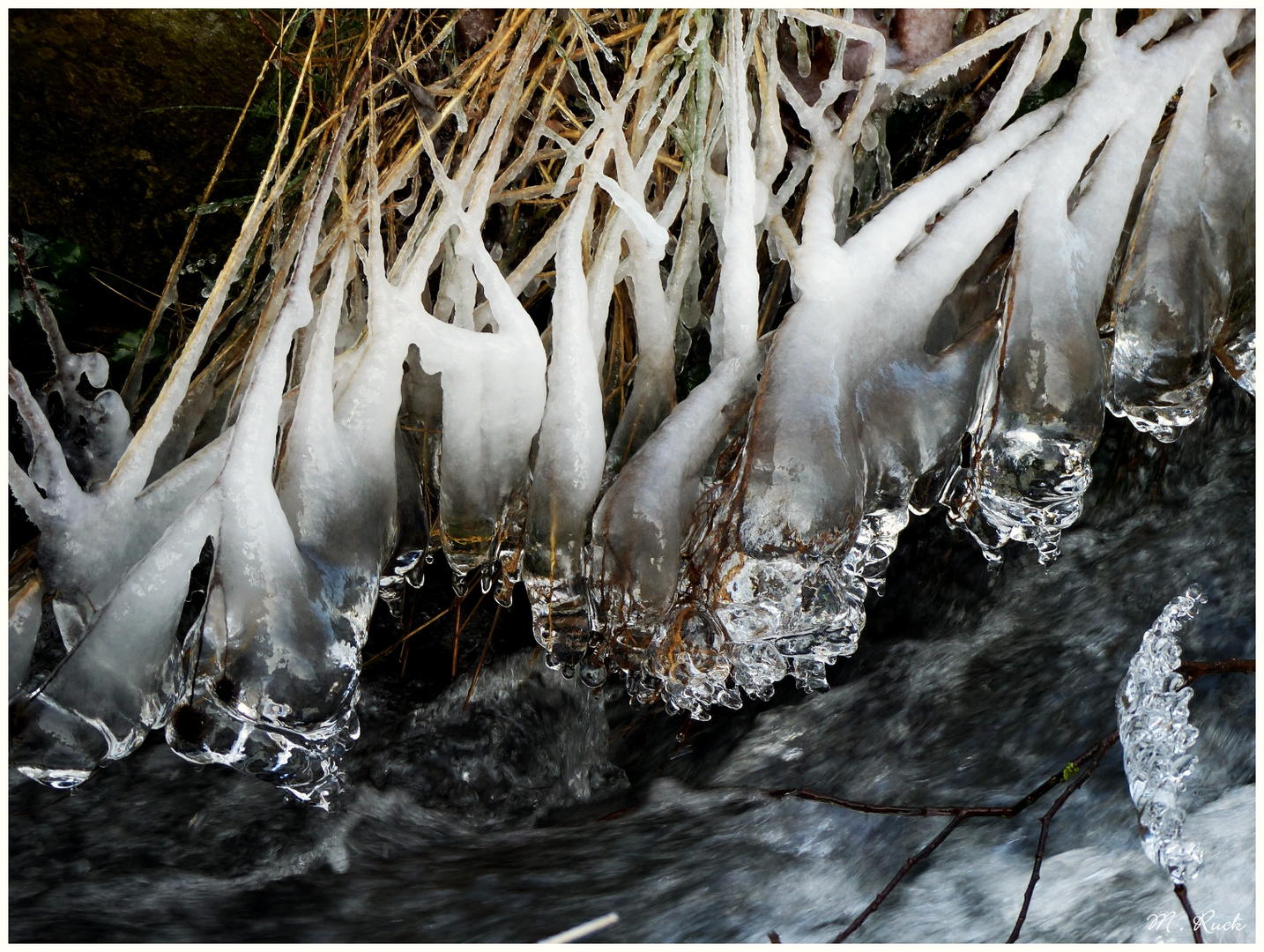 Frostiges am Bach 