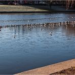 Frostiges am Urbanhafen