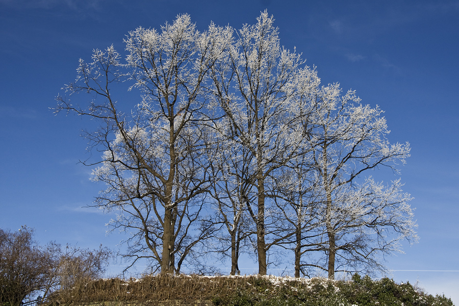 Frostiges Bielefeld ...