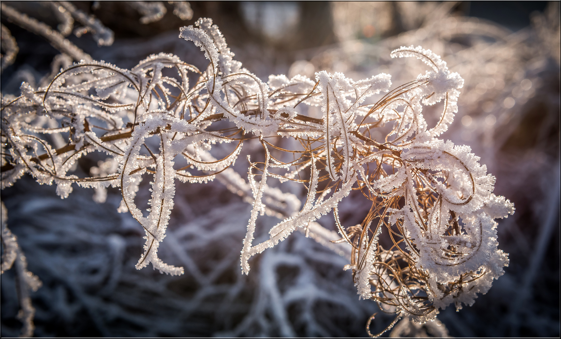 Frostiges Durcheinander