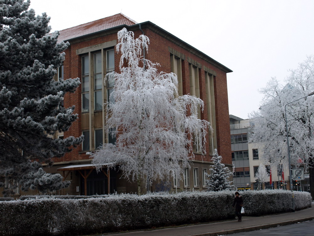 Frostiges Gericht