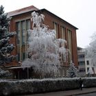 Frostiges Gericht