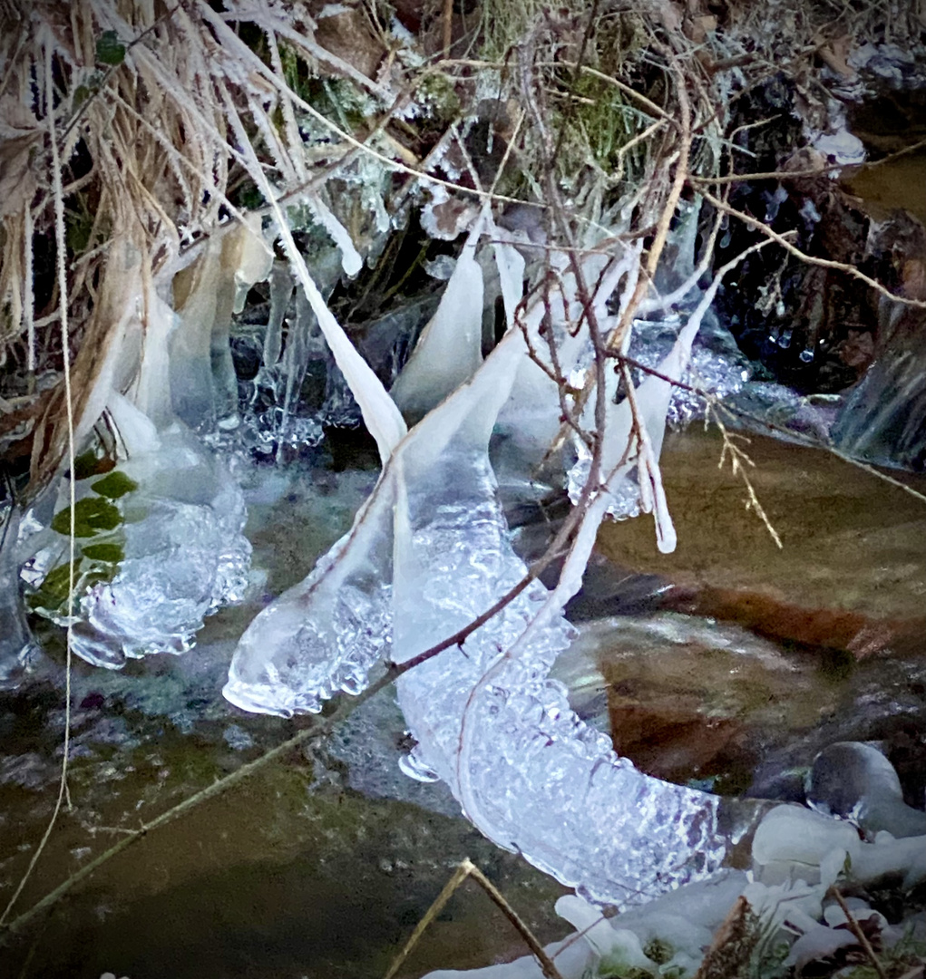 Frostiges Gewässer 