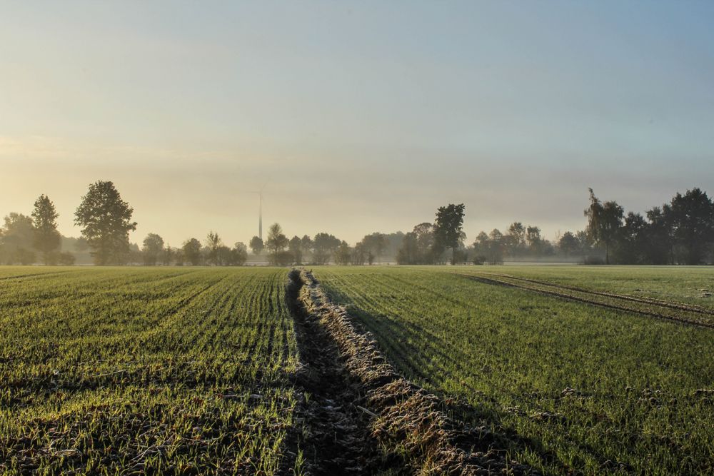 Frostiges Herbsterwachen