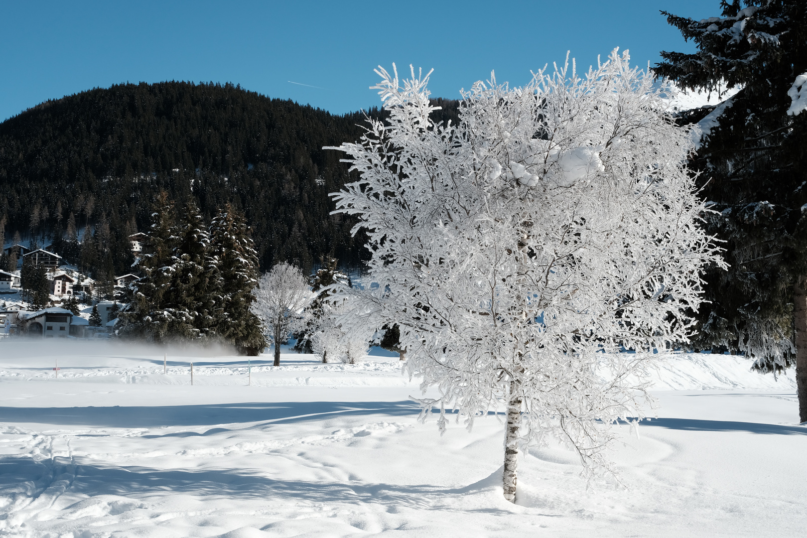 Frostiges Kunstwerk