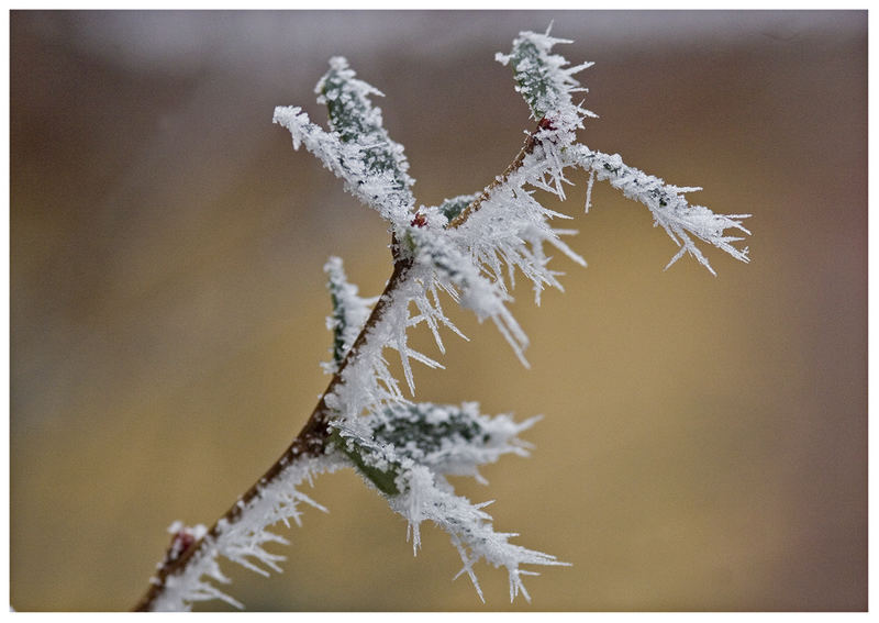 frostiges Kunstwerk