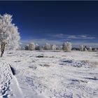 ~ frostiges Moor~