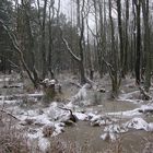 frostiges Moor