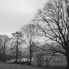 frostiges Moor