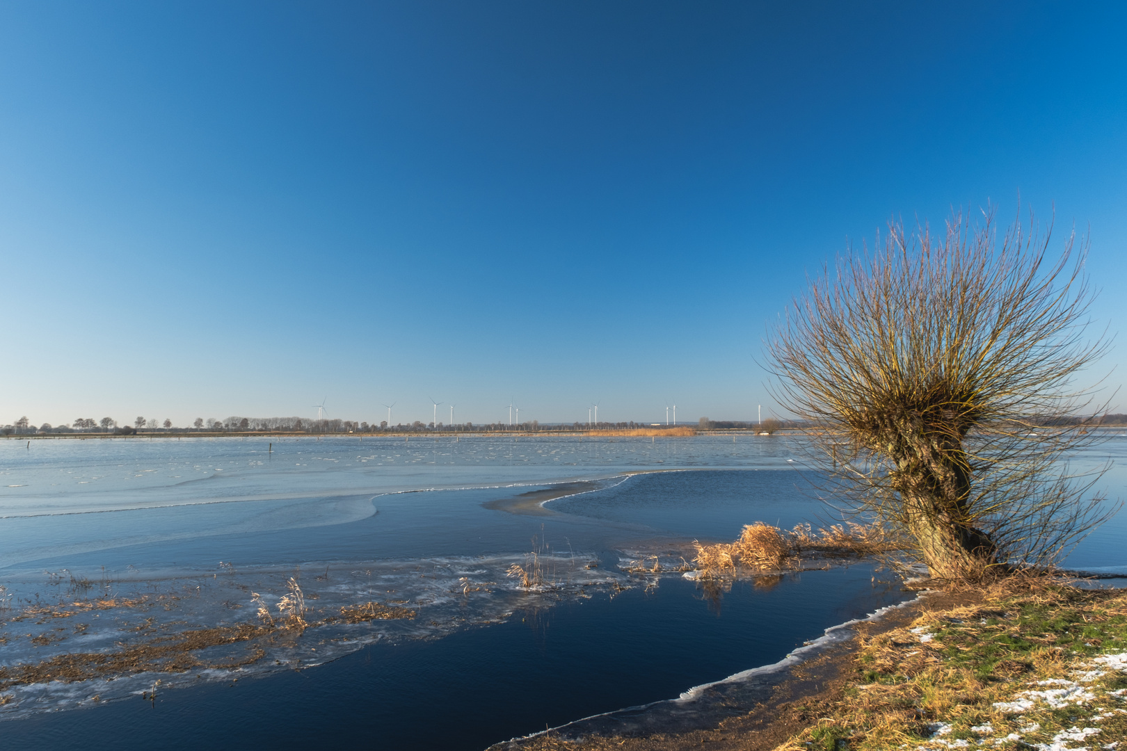 Frostiges Moor