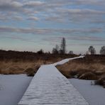 Frostiges Moor