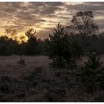 Frostiges Moor