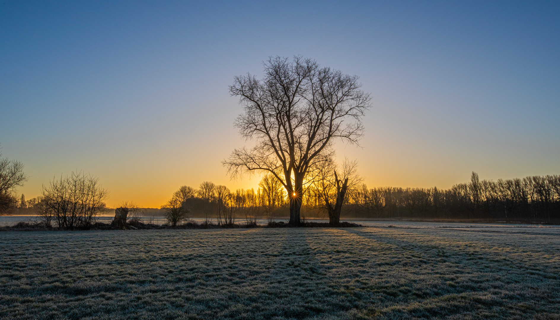 Frostiges Morgenerwachen