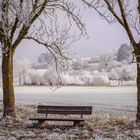 Frostiges Plätzchen