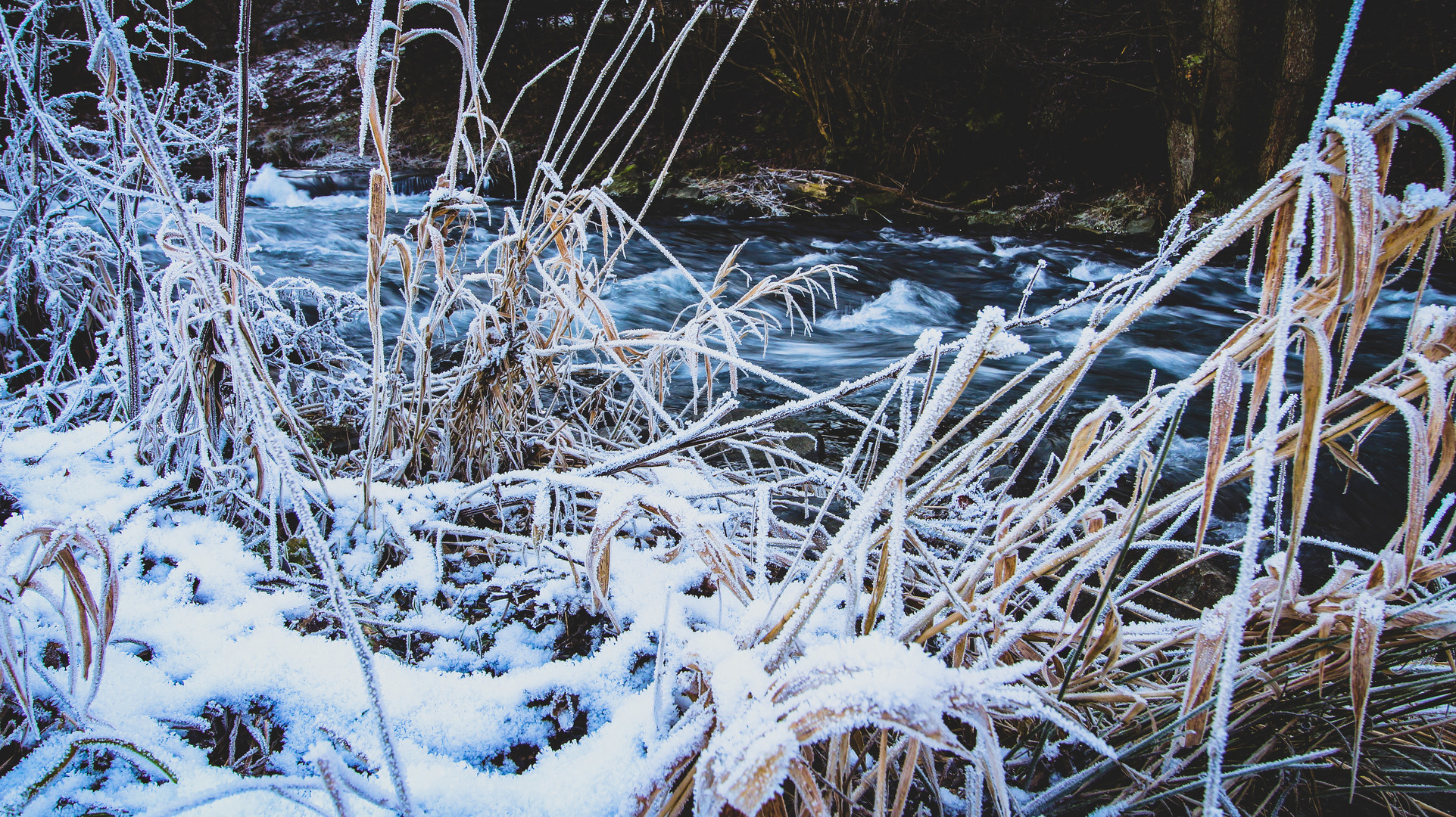 Frostiges Siegufer