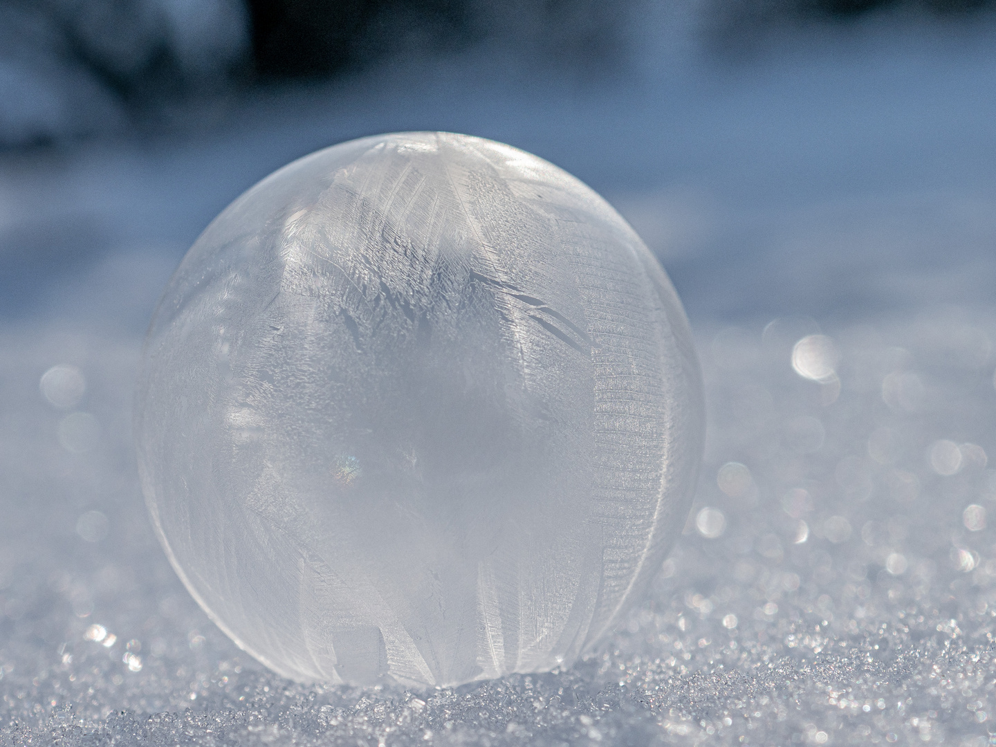 frostiges Spielzeug 2