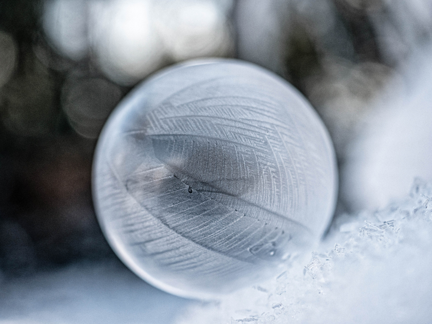 frostiges Spielzeug 4