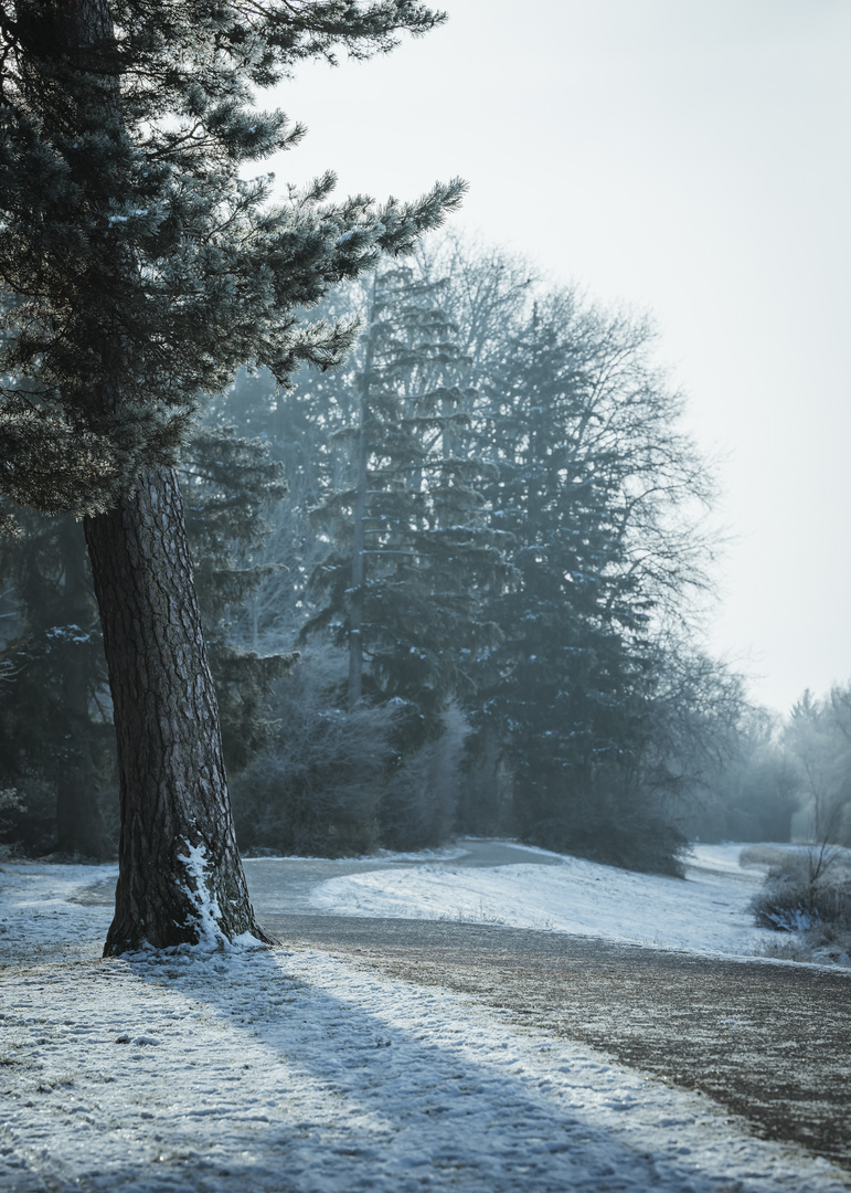 Frostiges Vergnügen