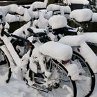 Frostiges Warten auf bessere Zeiten, den auch Fahrräder machen Winterschlaf