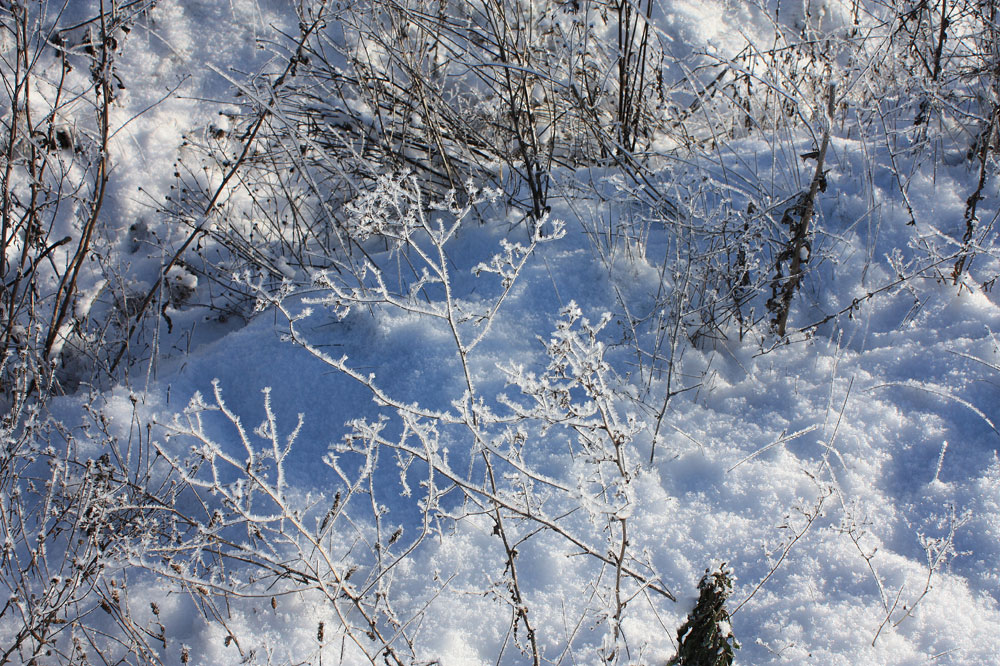 frostiges Wetter