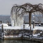 Frostiges Winterende am Chiemsee