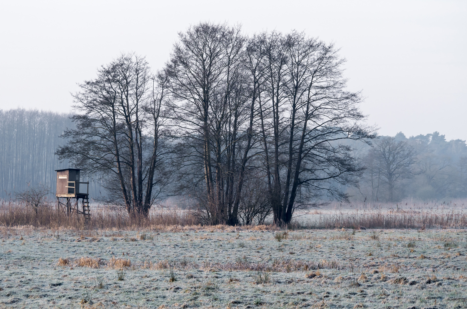 Frostiges Winterwetter